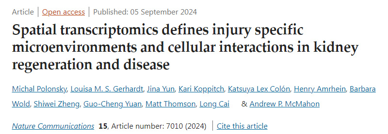 
空间转录组学定义了肾脏再生和疾病中损伤特异性微环境和细胞相互作用
