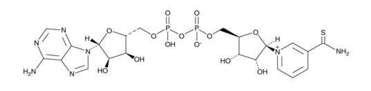 Thio-NAD