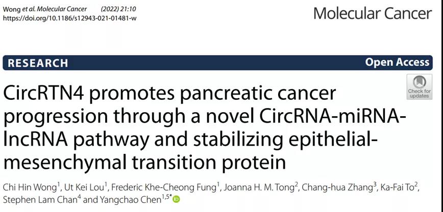 别再被“垃圾DNA”骗了！三大非编码RNA狼狈为奸，携手促癌！