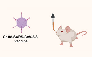 Science Immunology研究证实：鼻腔喷雾剂对阻止变异很重要