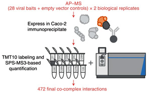 Nature子刊发表有关SARS-CoV-2病毒和人类蛋白质相互作用的综合性研究