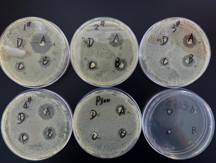 J9九游品牌生物KroVin300防腐剂抑菌实验和效果 - 细菌篇