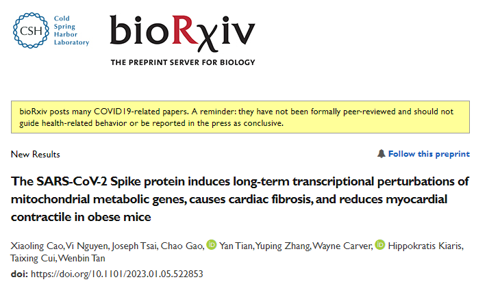 研究团队发现新冠病毒的S蛋白可诱导线粒体代谢基因的长期转录抑制并导致心脏纤维化和心肌收缩损伤