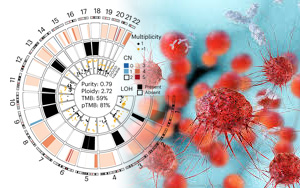 Nature Medicine：这些突变在预测免疫治疗效果上比TMB更好