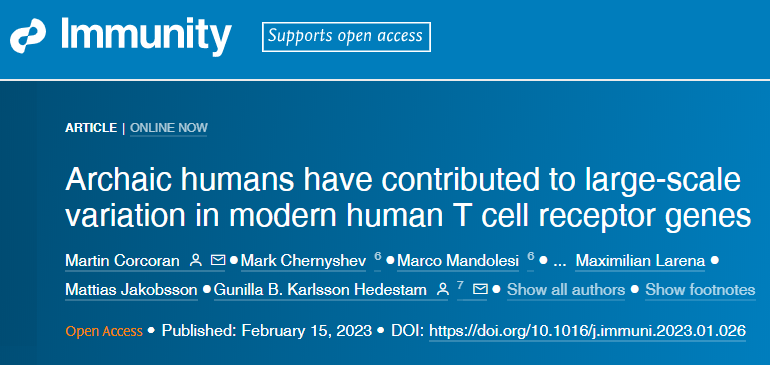 研究人员发现编码T细胞受体的基因在人和人群之间存在很大差异