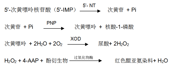 5'-核糖核苷酸磷酸水解酶检测原理