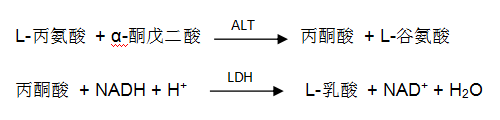 谷丙转氨酶（ALT）检测原理