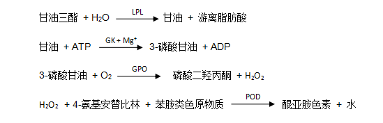 甘油三酯（TG）检测原理