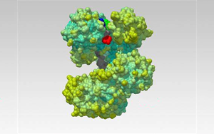 Nature解开一种蛋白质，研发一种新的生物技术工具