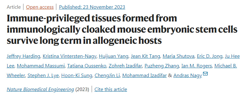 免疫隐形小鼠胚胎干细胞形成的免疫特权组织在异基因宿主中长期存活