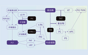 血栓调节蛋白（TM）-磁微粒化学发光法（AE/AP）解决方案