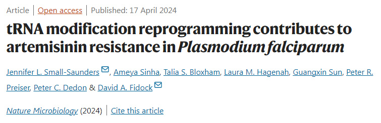 tRNA修饰重编程有助于恶性疟原虫对青蒿素的耐药性