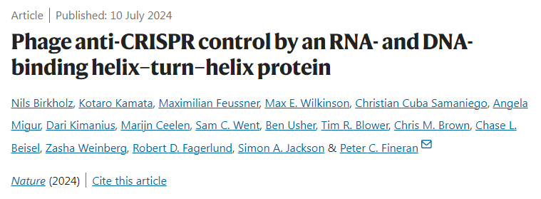 通过RNA和DNA结合螺旋-转螺旋蛋白控制噬菌体抗CRISPR