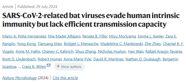 严重急性呼吸系统综合征冠状病毒2型相关蝙蝠病毒逃避人类固有免疫，但缺乏有效的传播能力