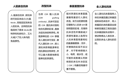 抗体人源化原理