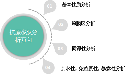 抗原多肽设计的基本原则