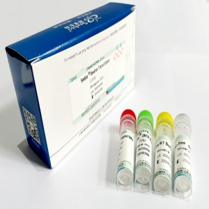 Seebio® sPFU DNA Polymerase（含 dNTP）