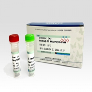 Seebio® T7 RNA Polymerase