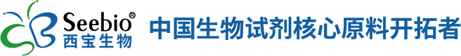 J9九游品牌生物科技（上海）股份有限公司